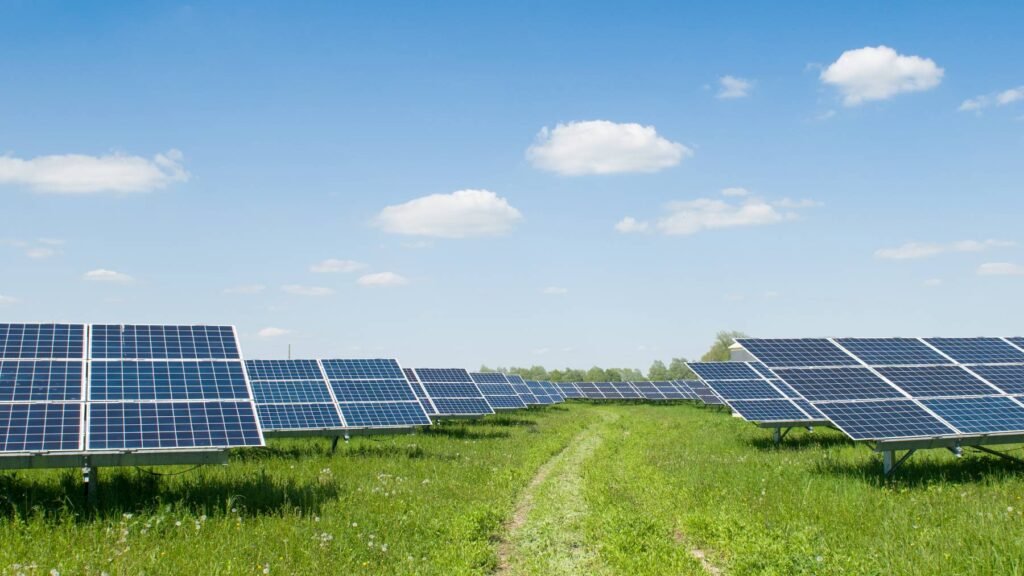 Agrícola Talhuén: Energía solar para riego y operación agrícola estable